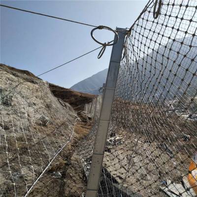 Unveiling the Marvels of Slope Protection Mesh